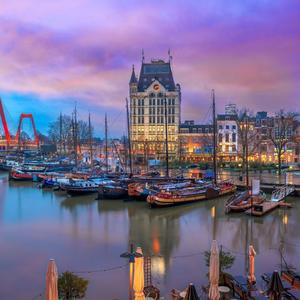 Rotterdam image