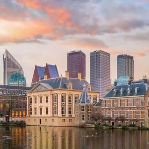 The Hague image