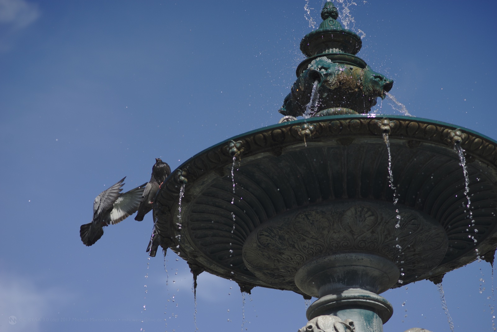 Sculpted fish spouting water above the upper basin of a Rossio fountain in Lisbon